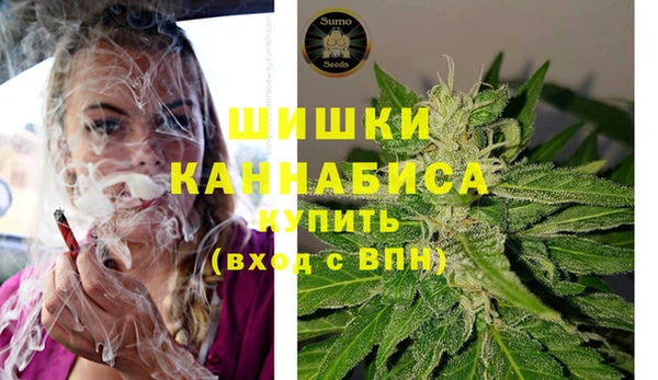 прущие грибы Абаза