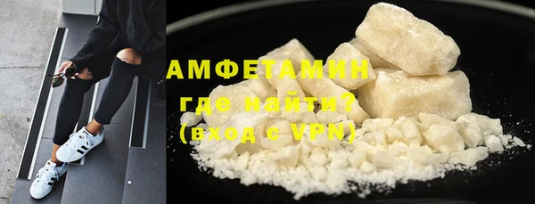 прущие грибы Абаза