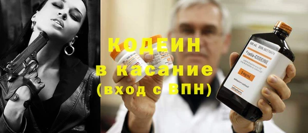 прущие грибы Абаза