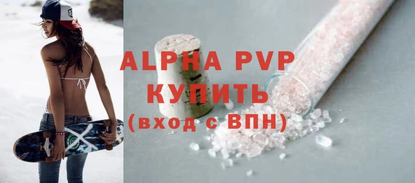 прущие грибы Абаза