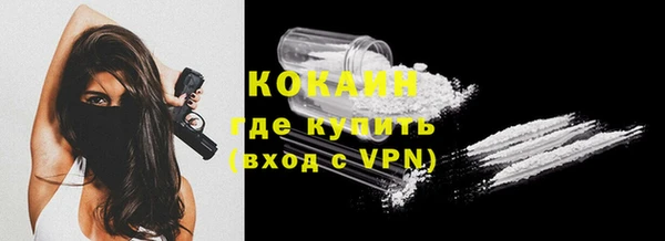 прущие грибы Абаза