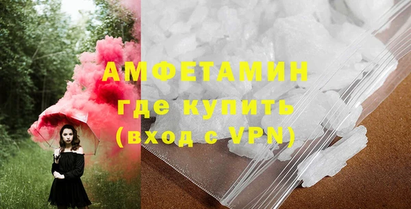 прущие грибы Абаза