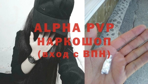 прущие грибы Абаза