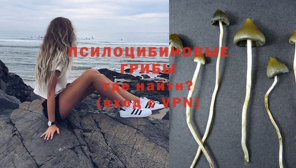 МДПВ Абдулино