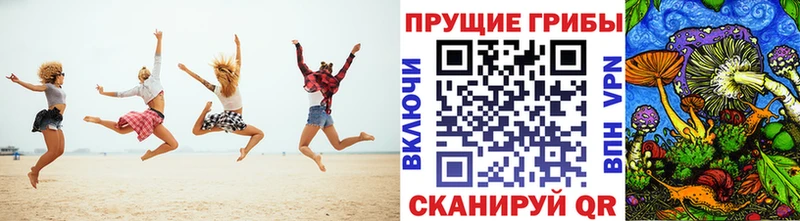 Псилоцибиновые грибы Psilocybine cubensis  Темников 